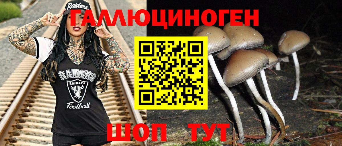 Архангельск  Галлюциногенные грибы MAGIC MUSHROOMS  Псилоцибиновые грибы Psilocybine cubensis  как найти закладки  Вход с VPN 
