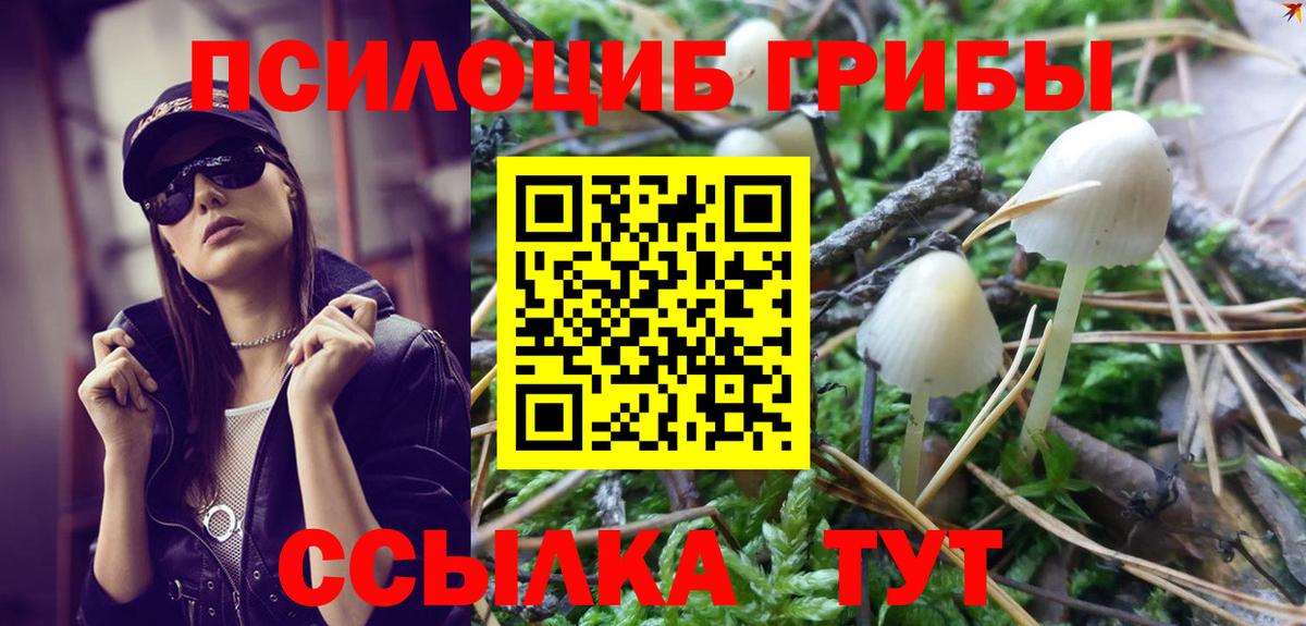 Псилоцибиновые грибы MAGIC MUSHROOMS Архангельск